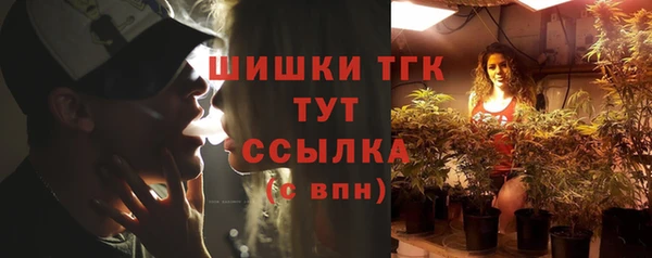 ешки Алзамай
