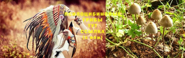 apvp Алексеевка