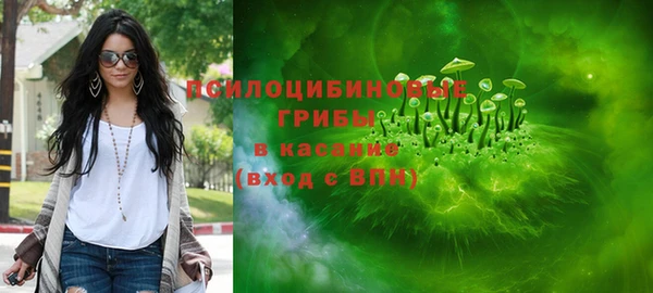 ешки Алзамай